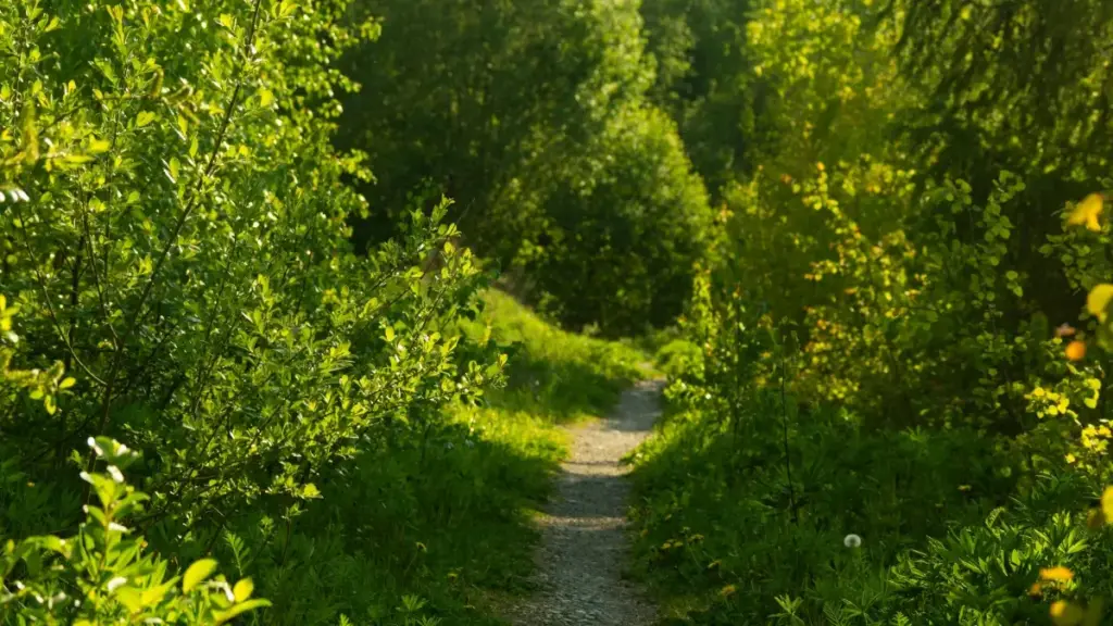 Jingdong arkaly Bolgariýa brendleri bilen baglanyşyk we ýerli bazarlar üçin optimizirlenen kontent döretmegiň anyk, praktik gollanmasy.
