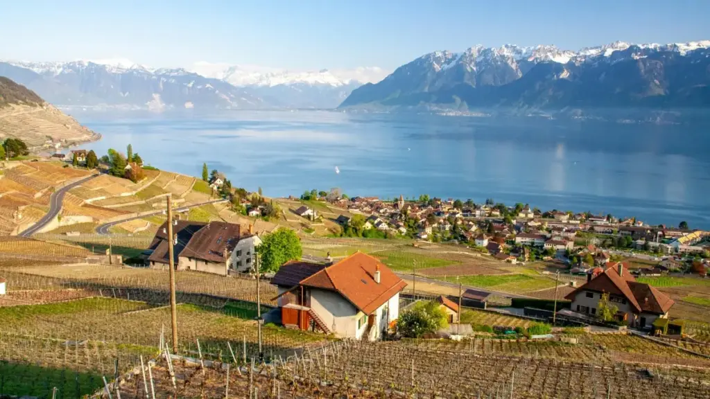 Turkmen döredijiler üçin adym-adym gollanma: Taobao-da Kanada brendlerine ýetirip, gysga wideo brend içerikleriniň ylalaşygyny nädip gazanmalydygyny we howpsuzlyk töwekgelçiliklerini nädip azaltmalydygyny öwreniň.