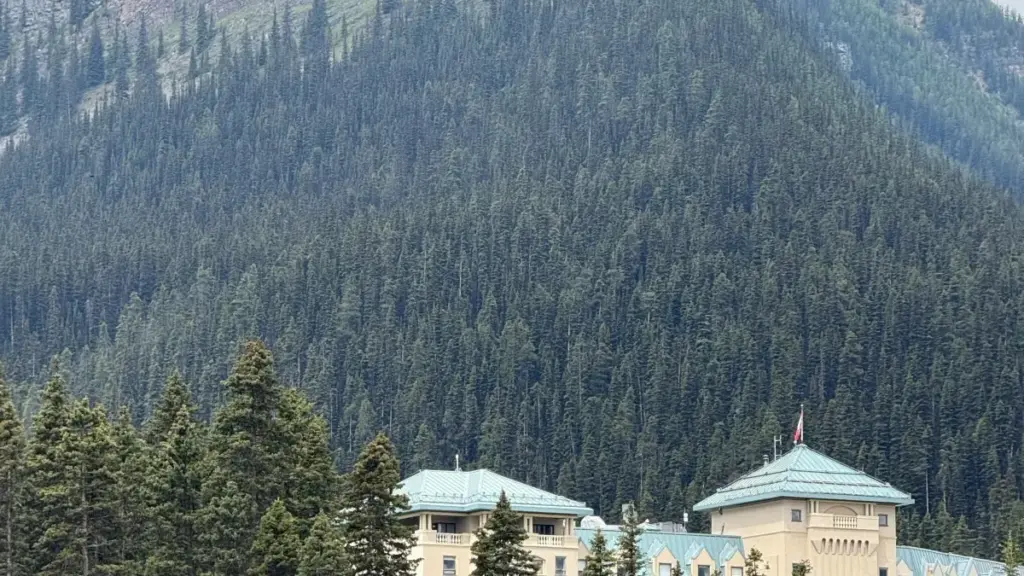 Luxembourg brendleri bilen Amazon arkaly aragatnaşyk gurmak we şol brendleriň ynamyny gazanmak üçin praktik we meýilleşdirilen ädimler, ABiLiTieS B.V. iş tejribeleri we ýerli täzelikler bilen.