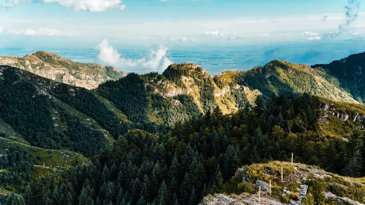 Creators: Reach Sri Lanka Brands for TikTok Game Collabs