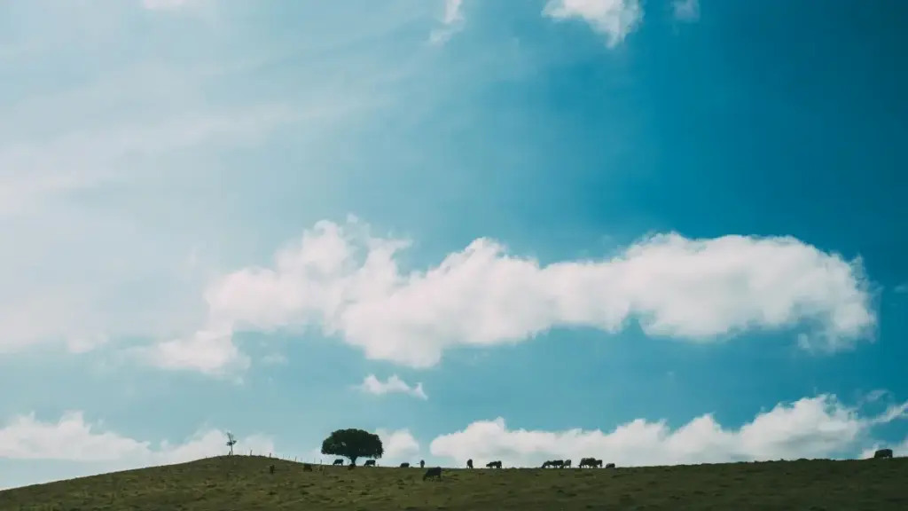 Şweýsariýa brendlerine Twitter-de unboxing teklipini nädip bermeli — ädimi-ädim, lokal maslahatlar we kontakt strategiýalary.