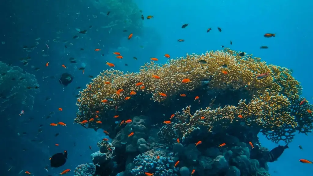 Saud Arabystanynda Vkontakte täsirçilerini tapyň, flash satyşy güýçlendiriň we täsirli nädip iş alyp barmalydygyny öwreniň.