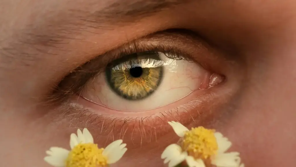 Snapchat arkaly Güney Kore brendleri bilen aragatnaşyk gurmaň — səyahat gidleri üçin praktik ädimler, ýerli tendensiýalar we ýagdaýlaýyn nusgalar.