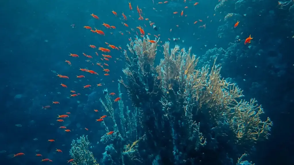 Şweýsariýadaky Apple Music döredijilerini tapmak we mazmun döretmek üçin PR gaplaryny ibermek boýunça amallar.