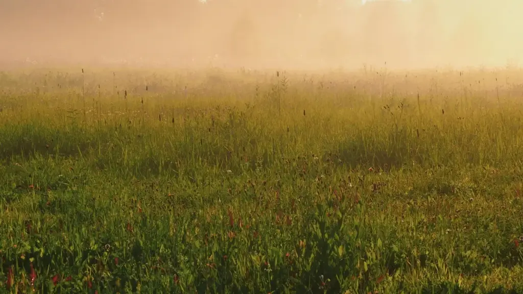 "Tailanddaky Line döredijilerini tapmak we stil influencerler bilen netijeli hyzmatdaşlyk gurmak üçin praktik ädimler, ýerli strategiýalar we kampaniýa mysallary."