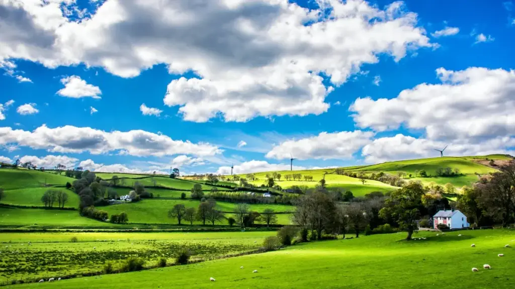 Turkmen döredijiler üçin Tunis brendleri bilen eBay arkaly ynamly hyzmatdaşlyk gurmagyň ýollary.