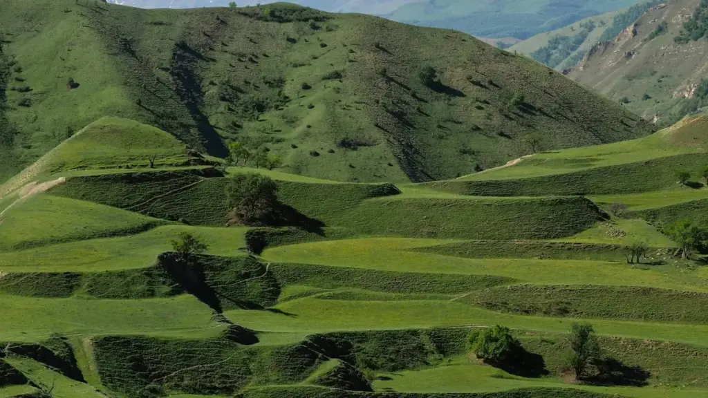 "Turkmenistanaw marketing üçin Ukraina Apple Music döredijilerini nädip tapmaly: praktik ädimler, platform deňeşdirme we möwsümi moda kampaniýasy üçin strategiýalar."