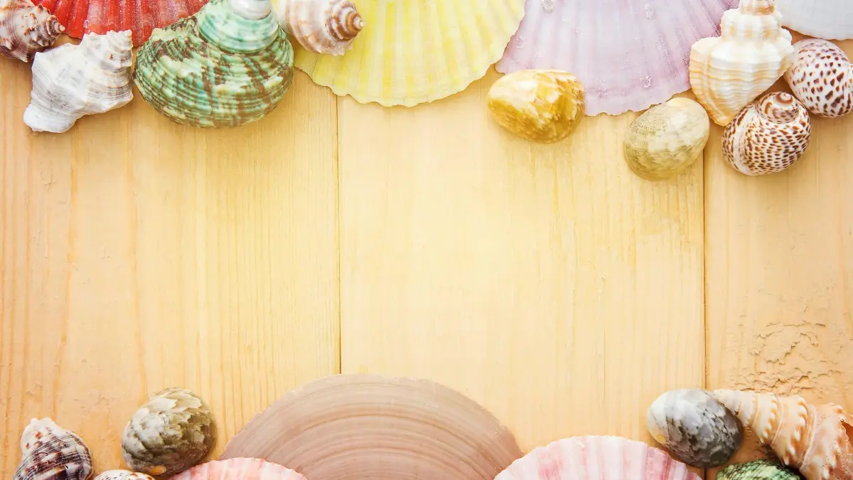 Venesuela Pinterest döredijilerini tapmak we flash satuwlar üçin influencer täsiri