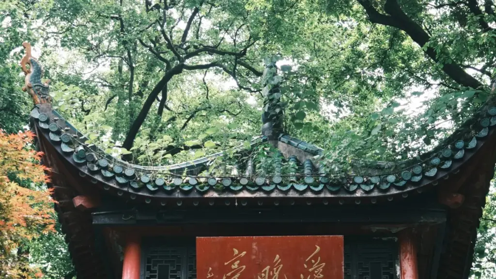 "Turkmen reklamçylar üçin Xiaohongshu-de Awstriýa markalary bilen brend alyş-ileş kampaniýalarynyň praktiki, lokalizirlenen ideýalary — işňe girip biljek formatlar, ölçegler we howpsuzlyk maslahatlary."