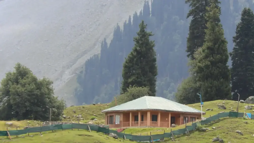 Kanadaly Takatak döredijilerini nädip tapmaly we micro-influencer içerik bilen product-led growth nädip güýçlendirmeli — praktiki ädimler we ýerli insightler.