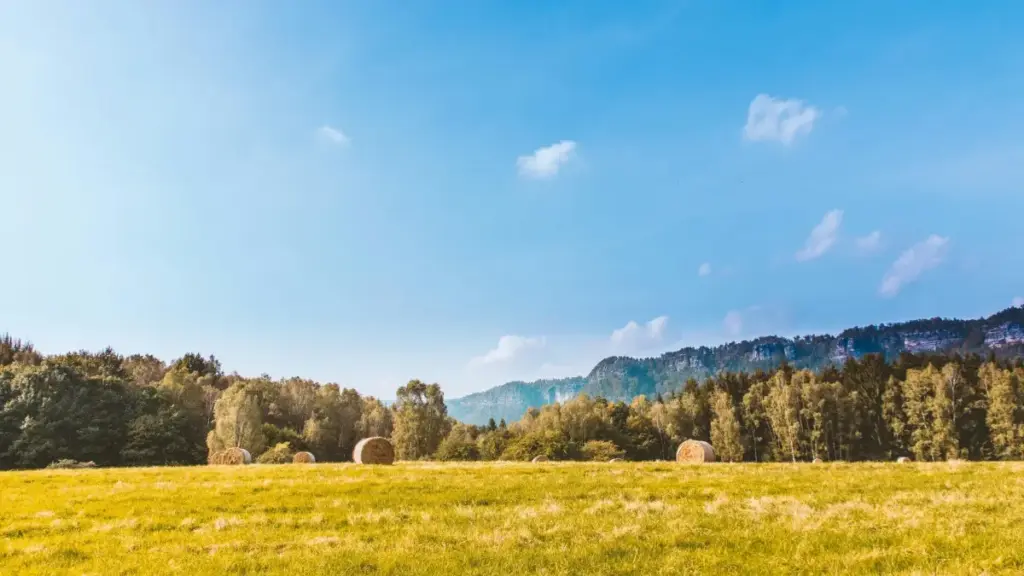 Denmark (Daniýa) esasynda Chingari kreýatorlaryny nädip tapyp, önümüňiziň ünsüni artdyrmaly — amaly ädimler, ýerli trendler we riskleri bilen.