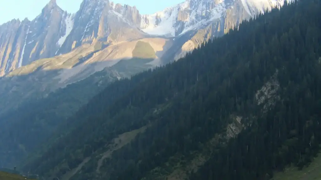 Turkmenistan markalary üçin praktik ýol görkezmesi: Kanadadan Disney Plus bilen baglanyşykly döredijileri nädip tapmak, barlamak we täze geýim kolleksiýalaryňyzy ýüzlerçe mylaýym müşderilere nädip ýetirmek.