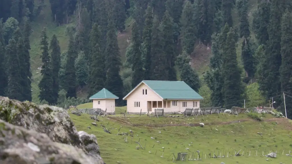 Britaniýaly eBay döredijilerini tapmak, sezon moda ýaryşlaryna çykarmak üçin praktiki ýol-ýöntemler, howpsuz hyzmatdaşlyk we lokal baha beriş. WWD we GlobalData maglumatlary esasynda.