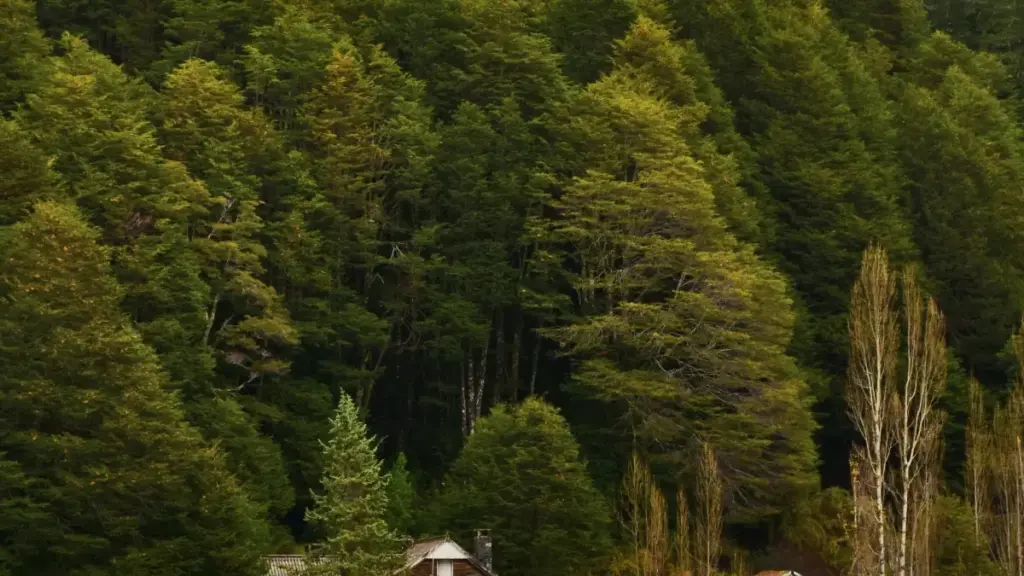 OnlyFans-de Mongoliýa fitnes enjamy brendlerini nädip tapyp, kontakt gurup synlamak üçin gysga, ýol görkeziji we real strategiýalar.