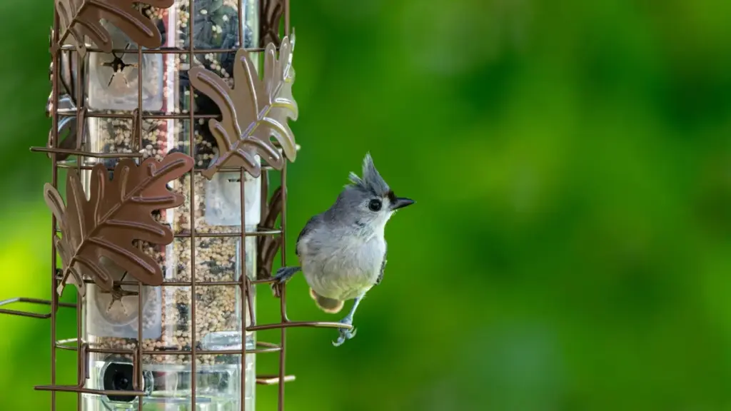 ShareChat arkaly Australia markalaryna ýetip, dərya arkasy (BTS) mazmunyny ýazdırmak üçin praktiki ädimler — pitch, localization, how-to we how to ölçemek barada Turkmen dilli gollanma.