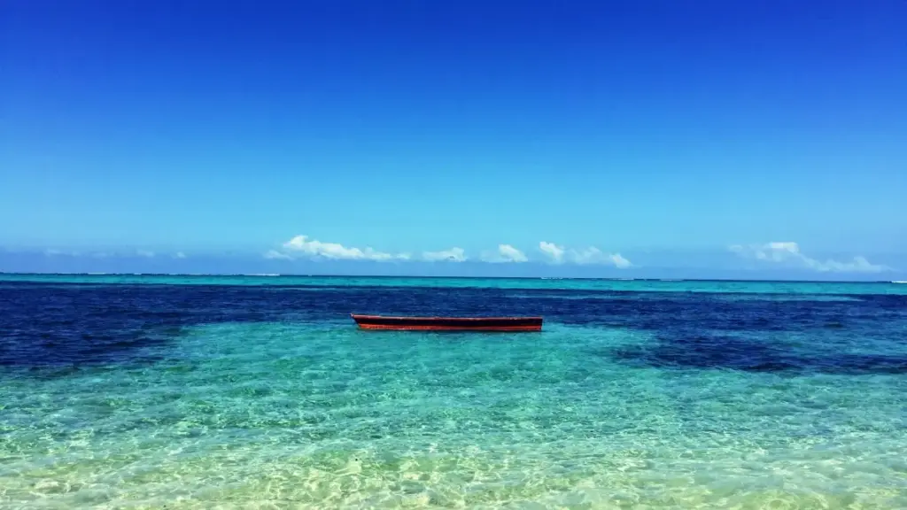 Singapur bazarlarynda Lazada arkaly fitnes enjamyny synap görmek isleýän döredijiler üçin ädimme-ädim, ýerli kontaktlar we howpsuzlyk maslahatlary.