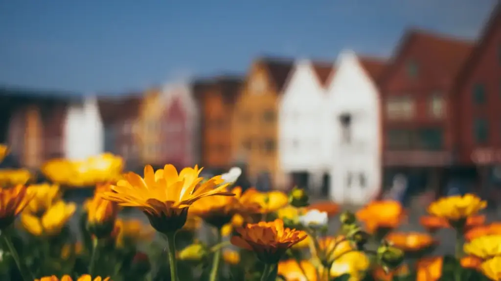 Pinterest-de Bangladesh brendlerine nähili ýakynlaşmaly we otelleri sponsorlyk şertenda synap görmeli — ädimme-ädim taktika, ýerli nüanslar we pragmatik şablon. 2025 ýyly üçin amatly, işleýär.