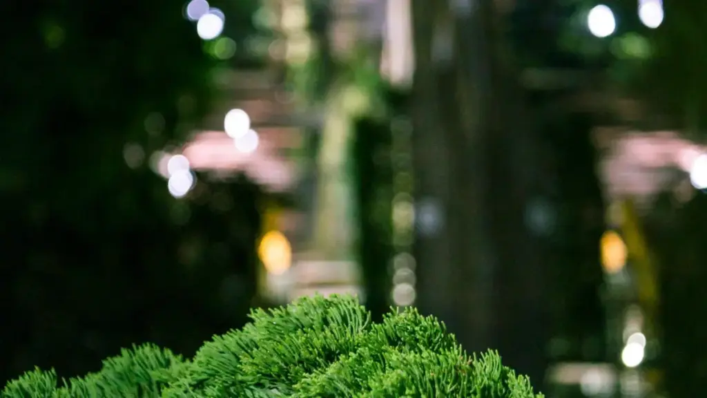 Line-de Ysraýyl markalary bilen hyzmatdaşlyk edip, esasy syýahat vloglaryna brend kartlary we strategiki pitch ulanmak boýunça praktik ýol görkezme.