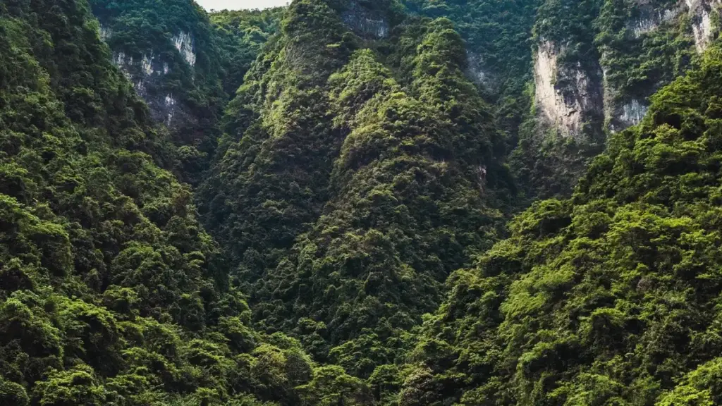 YouTube-da Izraillik brendler bilen aragatnaşyk gurup, aýdym reaksiýa wideolary üçin özüňi nähili taýýarlamaly we hödürnamany nähili ugratmaly — praktiki, lokal maslahatlar we howpsuzlyk çemeleşmeleri.