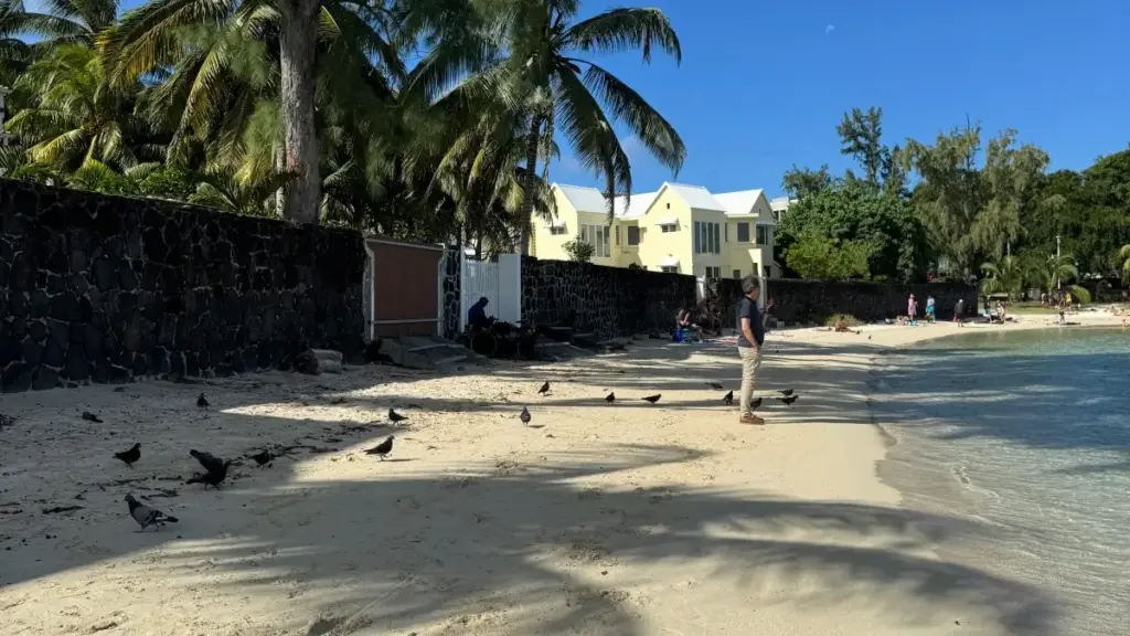 Shopee-de rus brendleri bilen işleşmegiň praktiк usullary: dürli kanal, habarlaşyk nusgasy we içerik strategiýasy — Türkmen döredijilerine niýetlenen anyk ädimler.