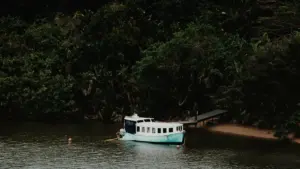 Turkmenistan we gulf brendleriniň üçin UAE-de Zalo kreiýtorlaryny nädip tapyp, komissiýa-satyş kampaniýalaryny başlatmaly — amaly ädimler, howpsuzlyk ünsleri we global tendensiýalar.