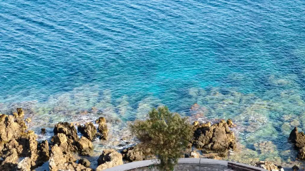 Gürjüstandaky Discord döredijilerini tapmak we teri ideginiň produktlaryny öňe sürmek üçin ýerli strategiýa, howpsuzlyk çäreleri we praktik ädimler.