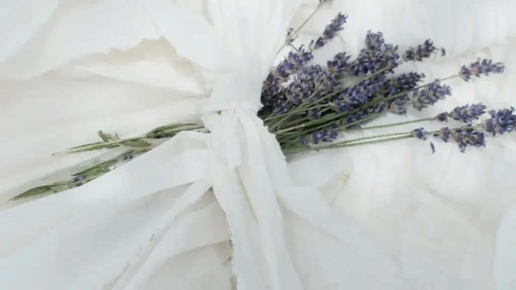 Turkmen creýterler üçin ädimme-ädim ýol görkezme: Kuwaitdäki Etsy dükany brendlerine depgi ýetirip, testimoniýa wideolar hödürlemek, gatnaşygy gurmak we global satuwa çykmak.