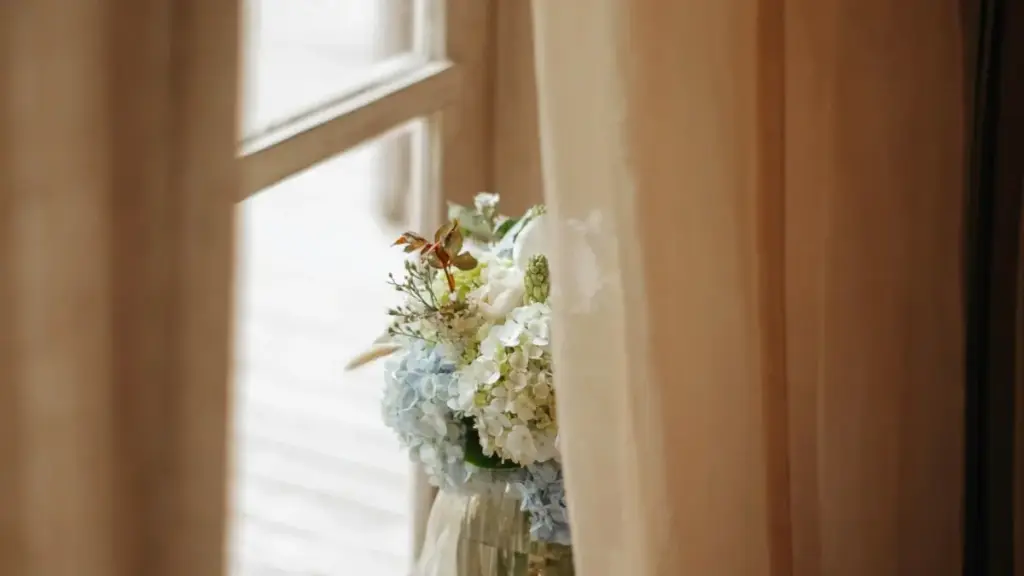 Belgía markalary bilen Telegram arkaly aragatnaşyk gurmak, teklipleri tabşyrmak we trend önümleri synlamak üçin praktiki, howpsuz we ýerli maslahatlar.