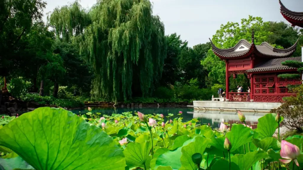 Turkmen ýaradijylary üçin praktiki ýol görkezme: Hulu-de Şweýsariýa brendlerine çemeleşmek, pitch döretmek, mahabat we hyzmatdaşlyk strategiýasy.