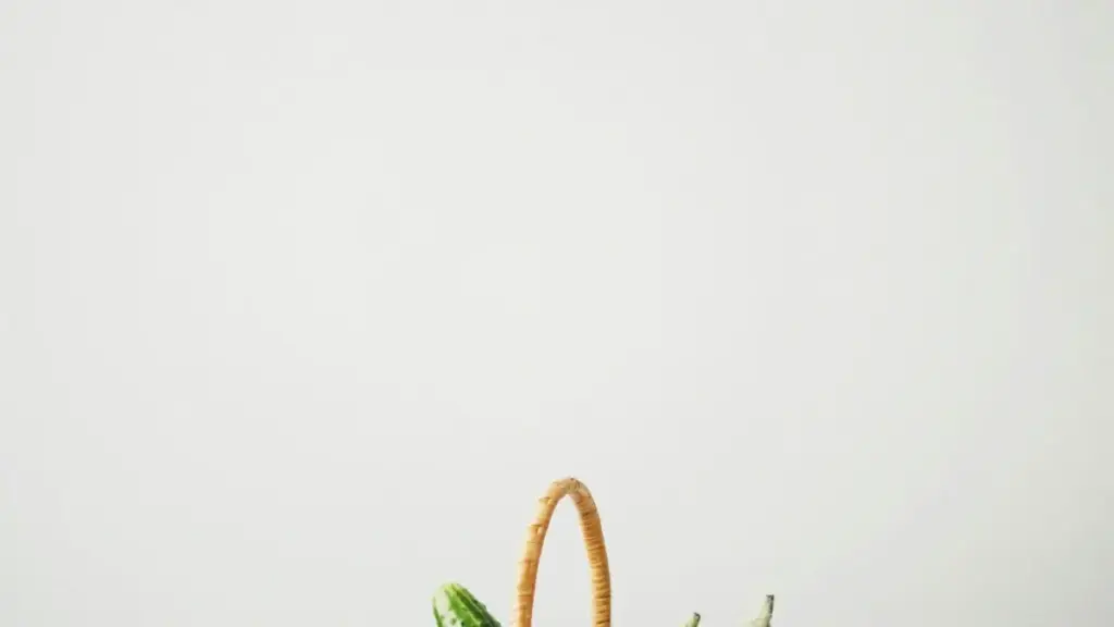 Turkmenistan reklamaçylary üçin howpsuz, praktiki we localizasiýa edilen gollanma: Tanzaniýadaky ShareChat döredijilerini tapmak we syýahat enjamlaryny UGC arkaly taýýarlamak üçin ädimme-ädim instruktiwa.