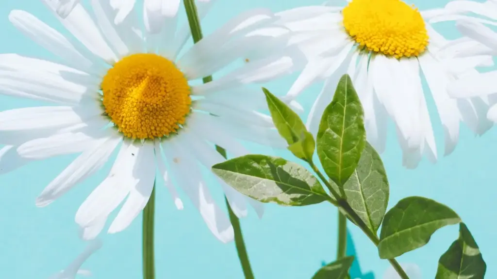 Tailanddaky Hulu janrlaryny we içerik döredijilerini mobil oýun lansmentleri üçin nädip tapyp, işleşip boljakdygyny praktiki we ýerliçe görkezýän gollanma.