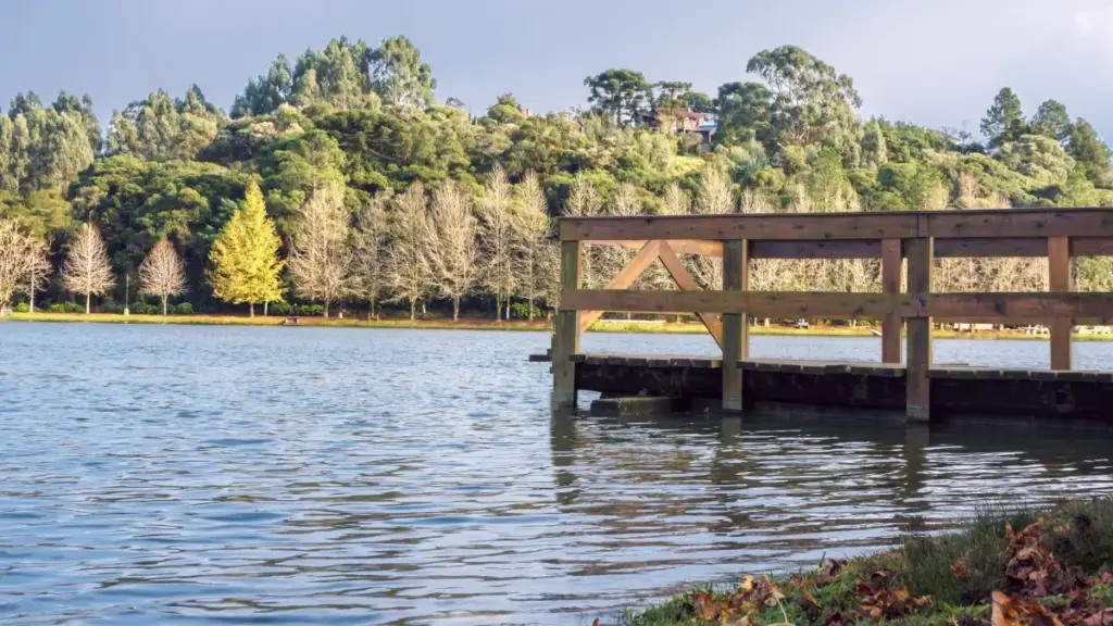 Turkmen dilli reklamaçylar üçin awstriýaly Douyin döredijilerini we style influencerlary bilen hyzmatdaşlyk etmegiň praktiki ýol-ýollary, synlar we howpsuz strategiýalar.