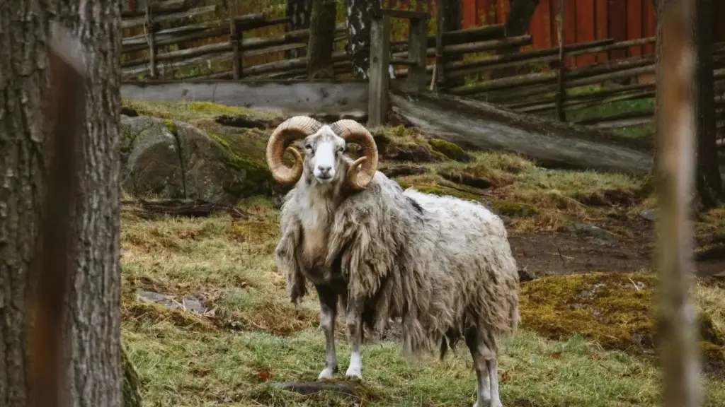Takatak-de Luxembourg markalaryna ýetmek we brand ambassador programmalaryna goşulmak üçin lokal strategiyalar, habarlar we ädimme-ädim maslahatlar.