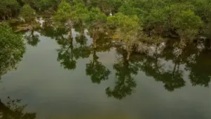 Turkmen dillerinde praktiki ýol-häsiýet: Armenia Facebook kreativlerini, nano/mikro profil strategiýasy we Meta alýetnamalary bilen top yaratjylar bilen bilelikde haryt liniýasyny ösdürmegiň älleri.