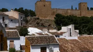 Bulgar teleqram döredijilerini Turkmenistandan nähili tapmaly, barlamak we marka duýgusyny gowulandyrmak üçin anyk ädimler, synlar we howpsuzlyk maslahatlary.