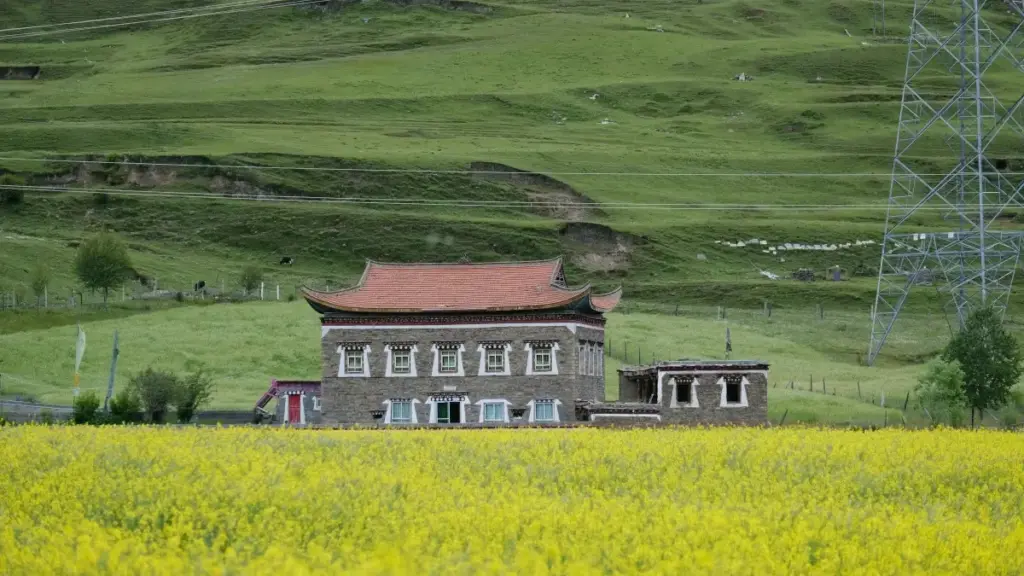 Rumaniýa bazary üçin Telegram arkaly brend gepleşiklerini nädip başlamaly, nähili pitch taýýarlamaly we töleg şertlerini flat-fee görnüşinde nähili gorap boljakdygy barada pragmatik gollanma.