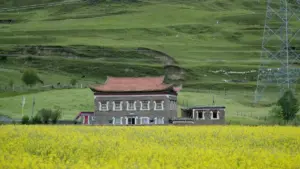 Rumaniýa bazary üçin Telegram arkaly brend gepleşiklerini nädip başlamaly, nähili pitch taýýarlamaly we töleg şertlerini flat-fee görnüşinde nähili gorap boljakdygy barada pragmatik gollanma.