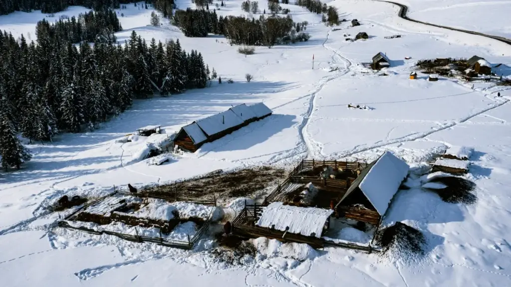 Serbiýa markalary bilen Amazon arkaly işlemegiň praktiki ýollarynyň gollanmasy — agrarlyp ösdürme, influencer hyzmatdaşlygy, ýerli dil we listing optimizasiýasy.