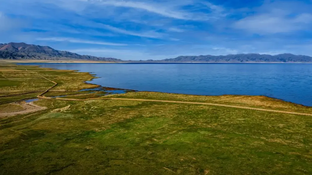 Turkmen döredijileri üçin Facebook arkaly Birleşen Patyşalyk brendlerine sponser enjamlar we affiliate strategiýasy bilen nädip netijeli ýetmeli, ýerli maslahatlar we praktiki ädimler.