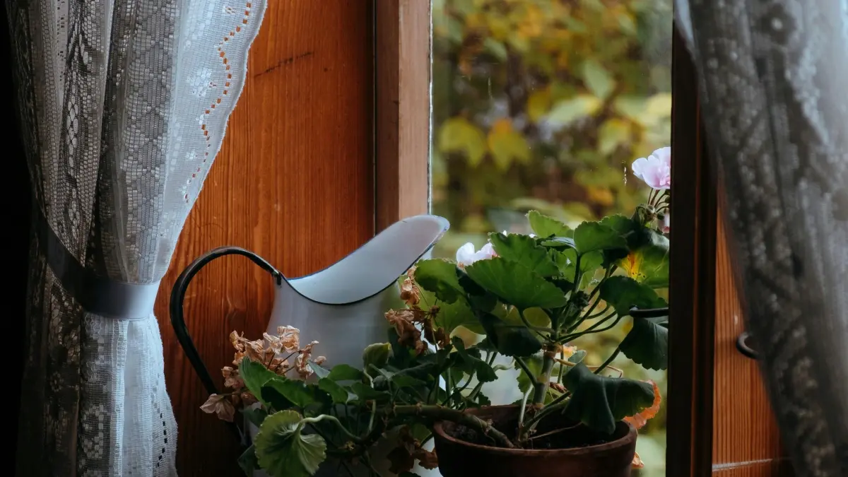 Romaniýaly taobao yaratjylaryny nähili tapmaly — viral wideolaryň açary