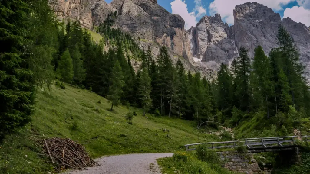 Turkmen döredijiler üçin ShareChat arkaly Russiýa brendlerini tapmak, aragatnaşyk gurmak we GRWM wideolary döretmek boýunça praktiki ädimler we howpsuzlyk görkezmeleri.