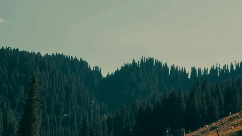 Boliviýaly Reddit döredijilerini tapmak we nichali ulanyjylar üçin SaaS synaglaryny guramak üçin praktiki ýol - lokal strategiýa, araçlar we howpsuz usullar.