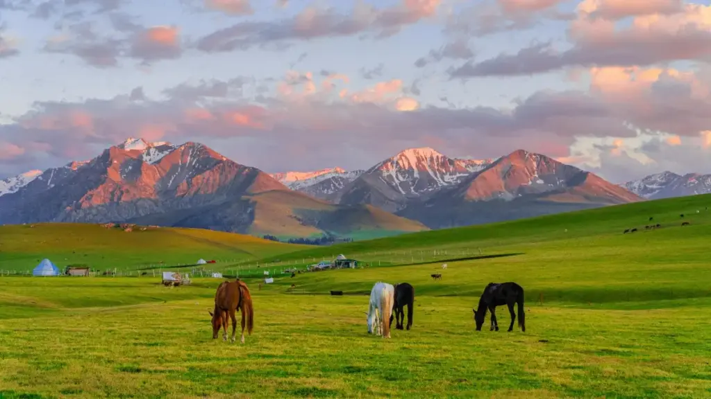 Kenýa Apple Music döredijilerini esports kampaniýalary üçin tapmagy we işjeňleşdirmek üçin lokal strategiýalar, taktikalar we hyzmatlar. Reýting, monetizasiýa we platformalara degişlilikler barada praktiki maslahatlar.