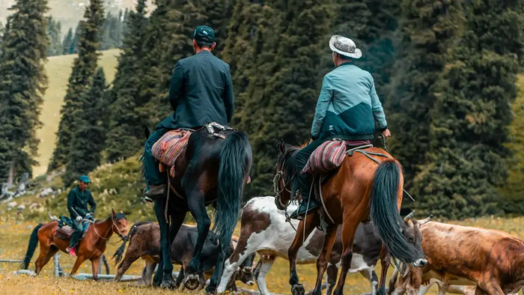 Kolumbiýa brendlerine ShareChat arkaly nähili ýakynlaşmaly, saz trendlerinde hyzmatdaşlyk etmek üçin haýsy ädimler we lokal taktikalary ulanmaly — praktik maslahatlar we howpsuzlyk gözegçiligi.
