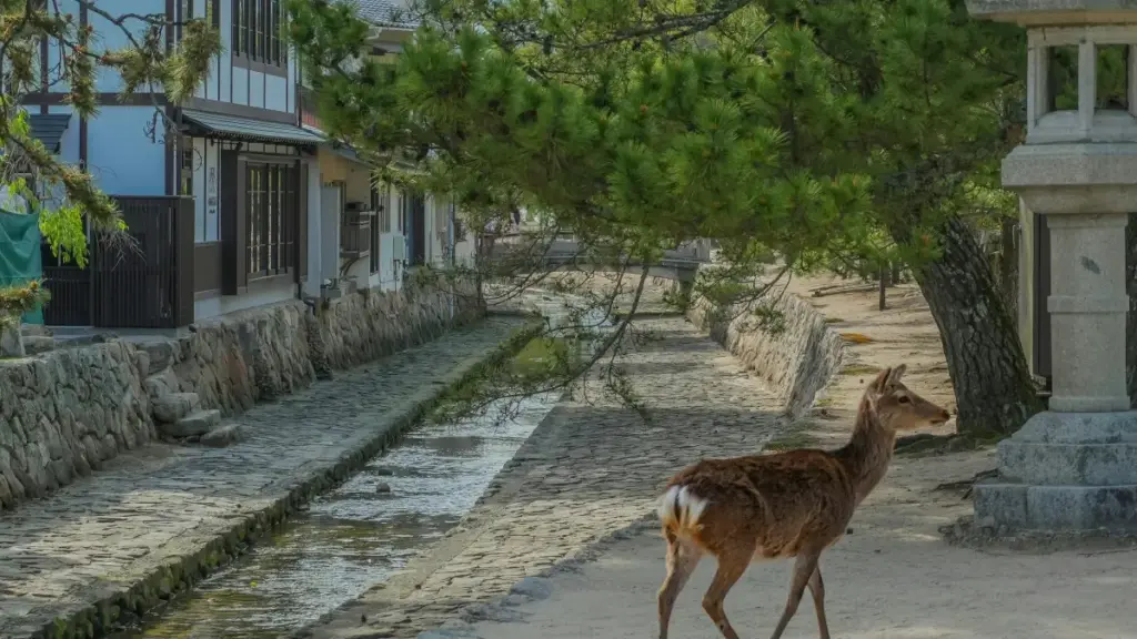 Kuwaitdaky vkontakte (VK) döredijilerini geýim kolleksiýalaryňyzy wagyz etmek üçin nähili tapmaly, aragatnaşyk gurmaly we netijeli işleşmeli — praktiki, lokalizirlenen strategiýa we trend analiz.