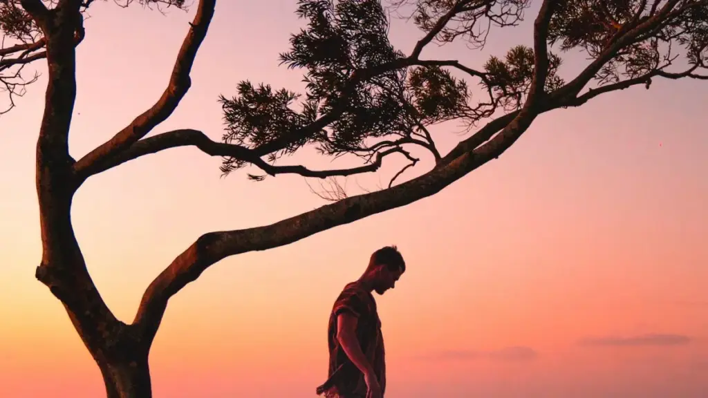 ShareChat-de Portugaliýa brendleri bilen aragatnaşyk—mikro-creator seeding programmalaryna goşulmak üçin ädim-ädim ýol haritasy we amaly maslahatlar.