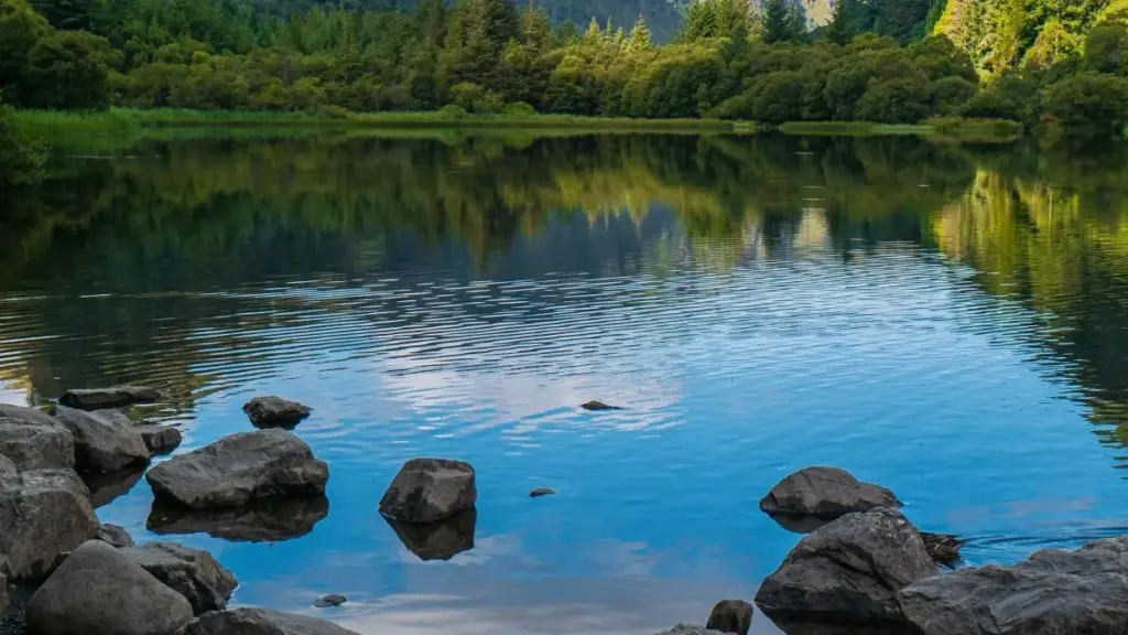 Moj platformasynda Braziliýa brendlerine nähili ýakynlaşmaly we myhmanhanalar üçin sponsor synaglaryny almak boýunça praktil maslahatlar we örän ýerli strategiýalar.