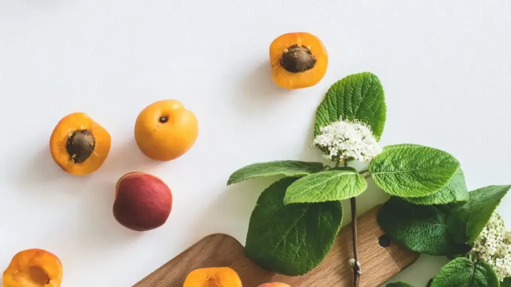 Turkmen kreýatorlary üçin praktiki ädimler: Costa Rica brendlerine Disney Plus reklamasy arkaly nädip baryp, kampaniýalara saýlanyp boljakdygyny görkezýän ýol-harita.