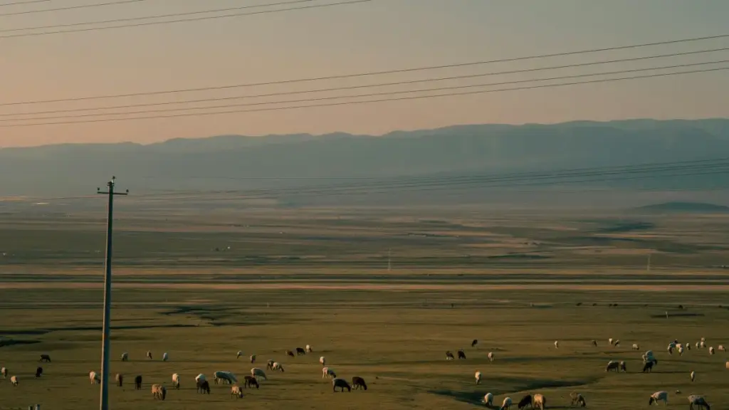 Turkmen dostlar üçin praktik gollanma: Peru bazarynda Instagram arkaly flat-fee sponsorluklary nädip tapmak, aragatnaşyk gurmak we öz paýyny almak barada konkret ädımlar.