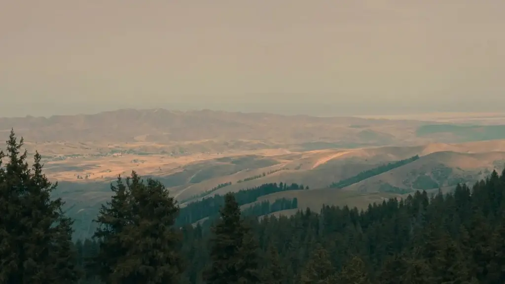 Özbegistan bazaryny niýetläp, Xiaohongshu döredijilerini tapmak, işjeňlik ölçemek we yzarlary satyn alyşa öwürmegiň praktiki gollanmasy.